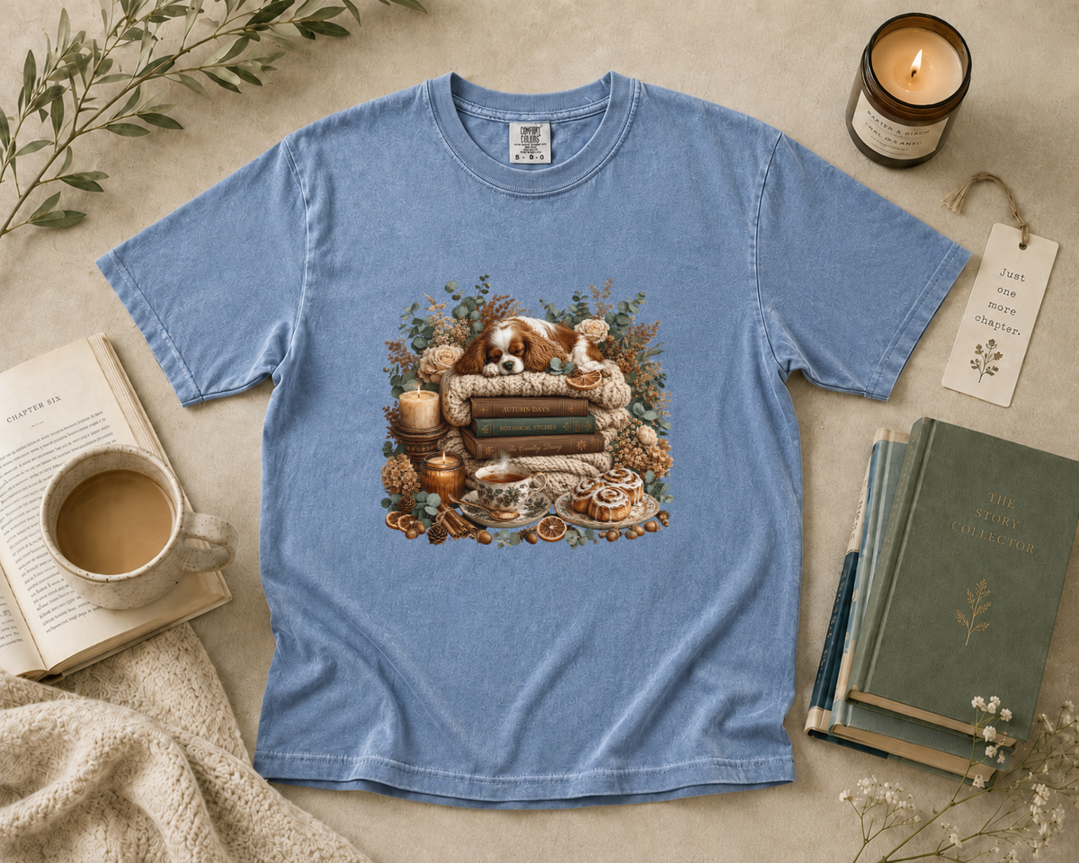 Cozy Blanket & Books T-Shirt